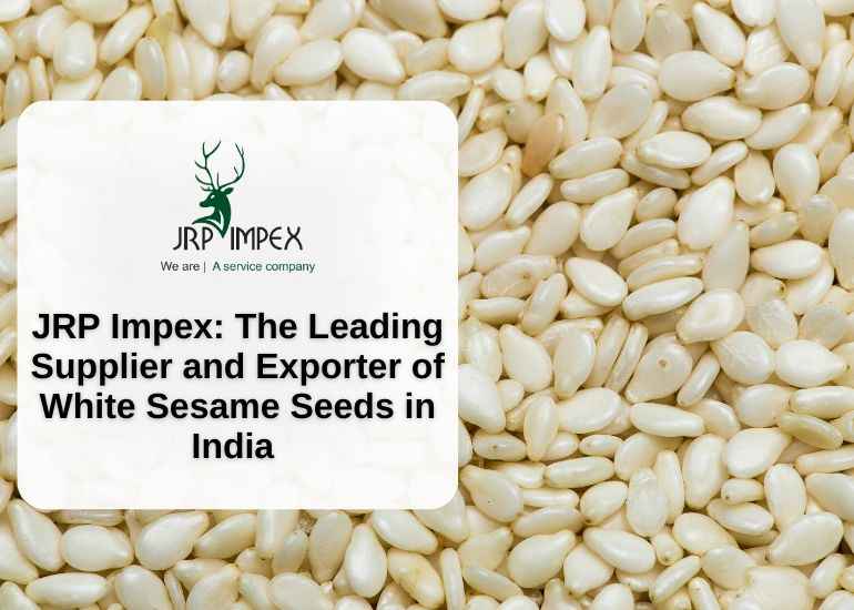 JRP Impex- The Leading Supplier and Exporter of White Sesame Seeds in India