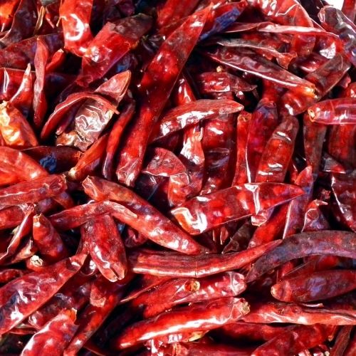Red Chilli Manufacturers Suppliers Wholesalers and Exporters in India | JRP impex.