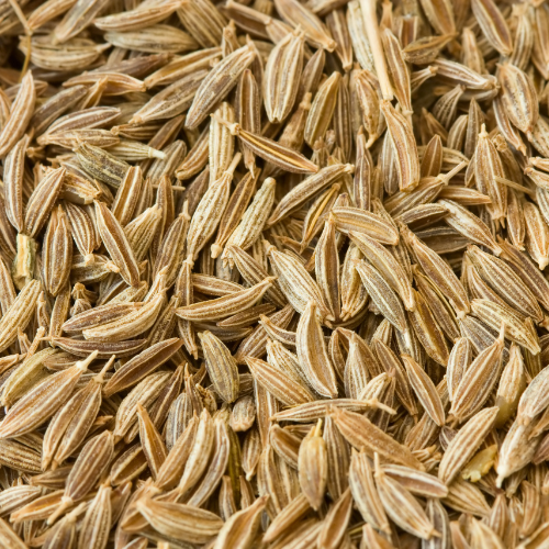 Cumin Seeds (Jeera) Manufacturers, Suppliers, Wholesalers and Exporters in India | JRP Impex