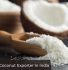 Desiccated Coconut Exporter in India