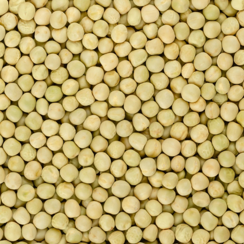 Green Peas Manufacturers & Suppliers in India